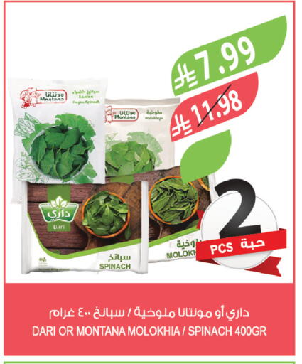 Spinach available at المزرعة in مملكة العربية السعودية, السعودية, سعودية - جدة