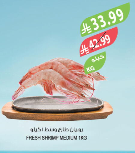 available at المزرعة in مملكة العربية السعودية, السعودية, سعودية - الخبر‎
