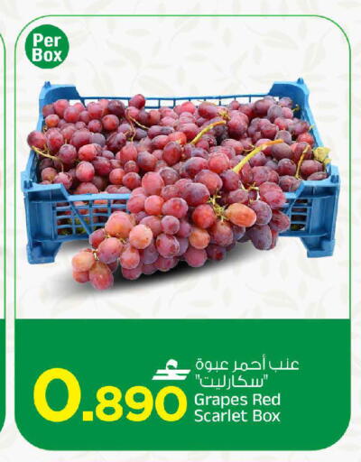 Grapes available at مارك & سايف in عُمان - مسقط‎