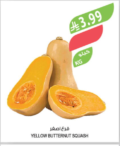 Squash available at Farm  in KSA, Saudi Arabia, Saudi - Jeddah