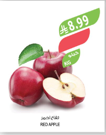 Apple available at المزرعة in مملكة العربية السعودية, السعودية, سعودية - الخبر‎
