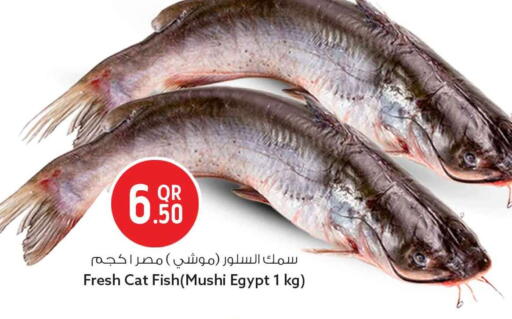 available at Safari Hypermarket in Qatar - Doha