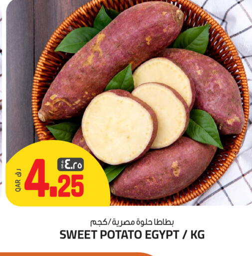 Sweet Potato from Egypt available at السعودية in قطر - الخور