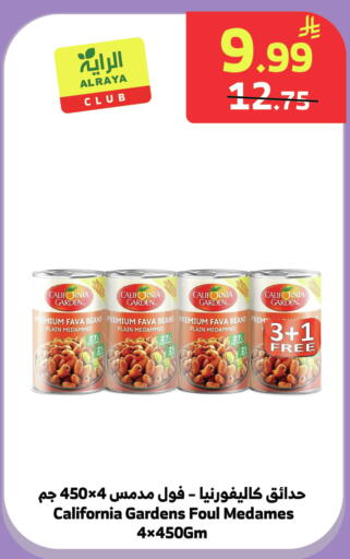 available at الراية in مملكة العربية السعودية, السعودية, سعودية - المدينة المنورة