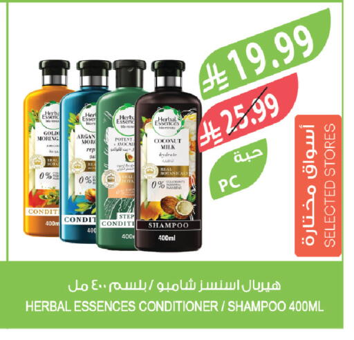 Coconut available at Farm  in KSA, Saudi Arabia, Saudi - Jeddah