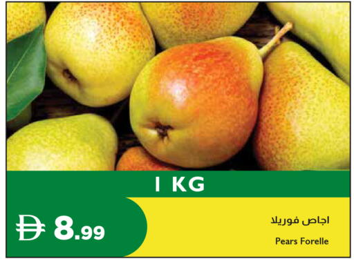 available at Istanbul Supermarket in UAE - Dubai