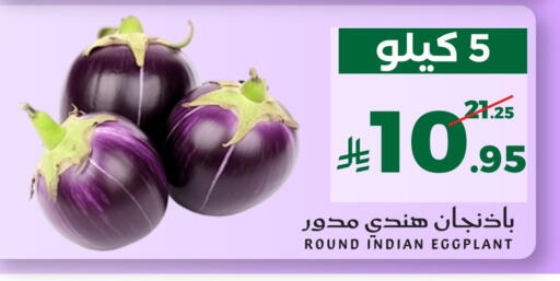 Eggplant from India available at ميرا مارت مول in مملكة العربية السعودية, السعودية, سعودية - جدة