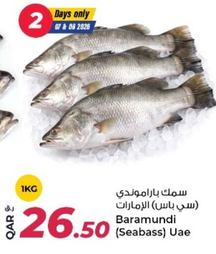 available at روابي هايبرماركت in قطر - الدوحة