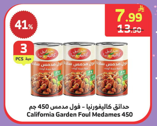 available at Al Raya in KSA, Saudi Arabia, Saudi - Medina