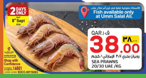 available at السعودية in قطر - الخور
