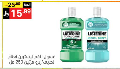 Mint available at Noori Supermarket in KSA, Saudi Arabia, Saudi - Mecca