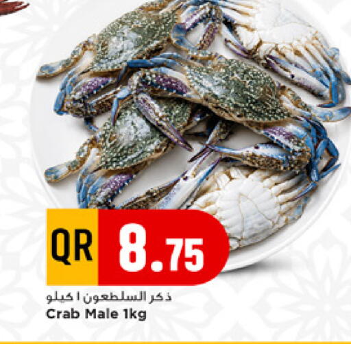 available at مرزا هايبرماركت in قطر - الدوحة