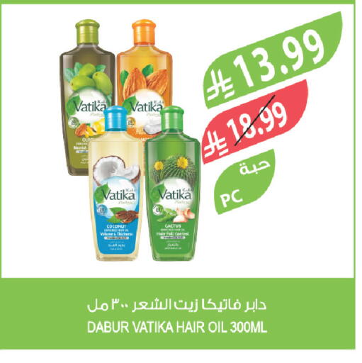 Coconut available at Farm  in KSA, Saudi Arabia, Saudi - Jeddah