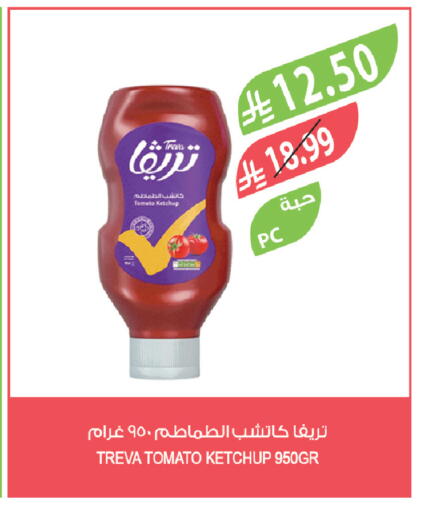 Tomato available at Farm  in KSA, Saudi Arabia, Saudi - Al-Kharj