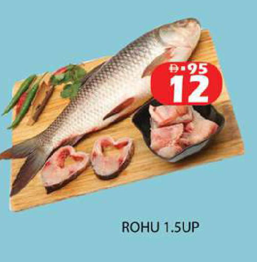available at Zain Mart Supermarket in UAE - Ras al Khaimah