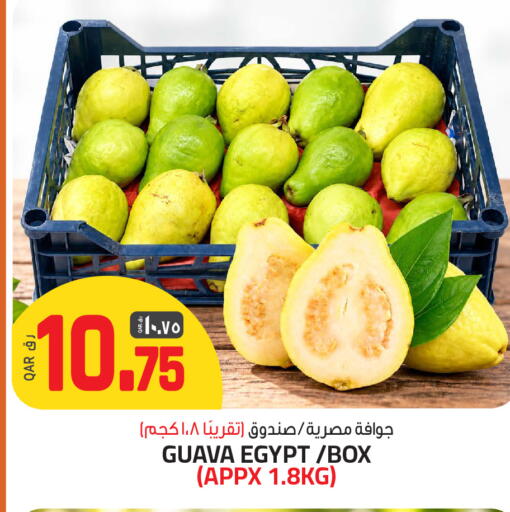Guava from Egypt available at السعودية in قطر - الخور