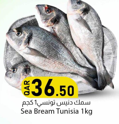 available at دانا ماركت in قطر - الدوحة