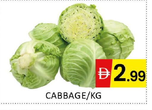 Cabbage available at المدينة in الإمارات العربية المتحدة , الامارات - دبي