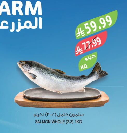 available at Farm  in KSA, Saudi Arabia, Saudi - Jeddah