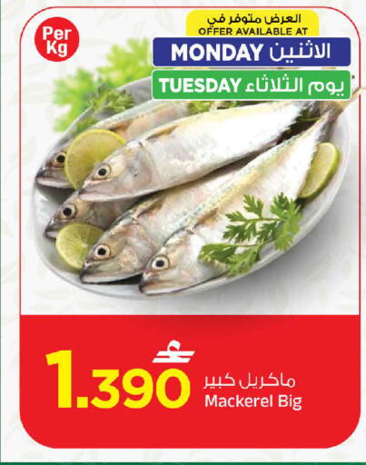 available at مارك & سايف in عُمان - مسقط‎