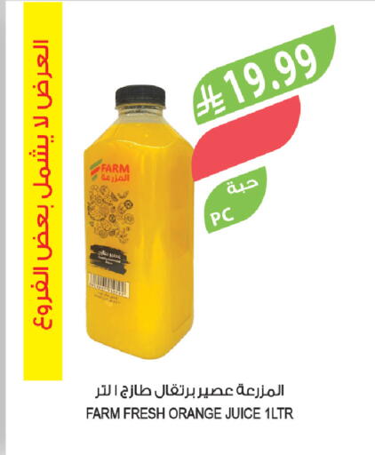 Orange available at المزرعة in مملكة العربية السعودية, السعودية, سعودية - الخرج