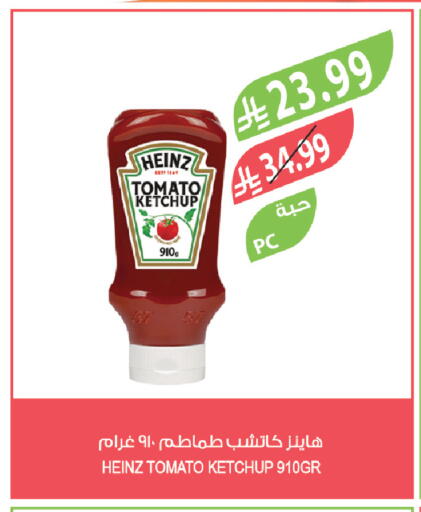 Tomato available at Farm  in KSA, Saudi Arabia, Saudi - Al-Kharj