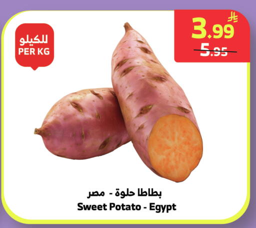 Sweet Potato from Egypt available at الراية in مملكة العربية السعودية, السعودية, سعودية - جدة
