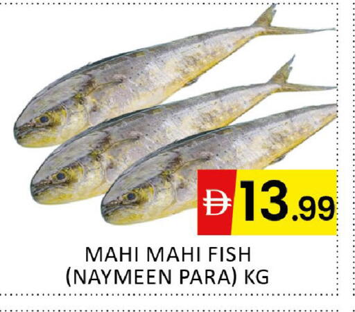 available at Al Madina  in UAE - Dubai