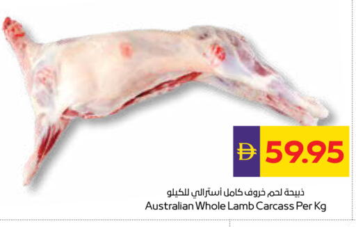 available at أدكووب in الإمارات العربية المتحدة , الامارات - رَأْس ٱلْخَيْمَة