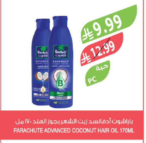 Coconut available at Farm  in KSA, Saudi Arabia, Saudi - Jeddah