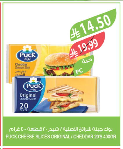 available at المزرعة in مملكة العربية السعودية, السعودية, سعودية - تبوك