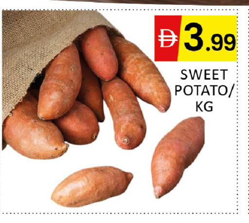 Sweet Potato available at المدينة in الإمارات العربية المتحدة , الامارات - دبي