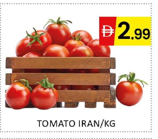 Tomato from Iran available at المدينة in الإمارات العربية المتحدة , الامارات - دبي