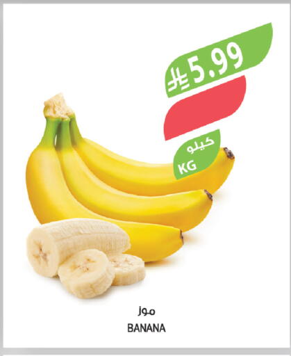 Banana available at المزرعة in مملكة العربية السعودية, السعودية, سعودية - الخبر‎