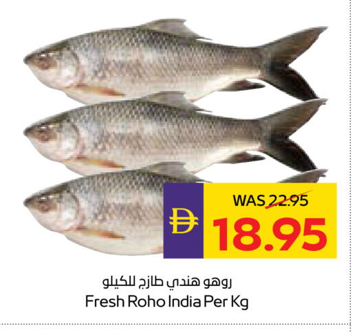 available at ADCOOP in UAE - Ras al Khaimah