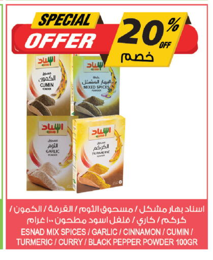 Cumin Garlic Turmeric Cinnamon Pepper available at Farm  in KSA, Saudi Arabia, Saudi - Jeddah