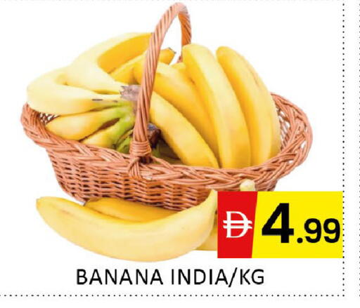Banana from India available at المدينة in الإمارات العربية المتحدة , الامارات - دبي