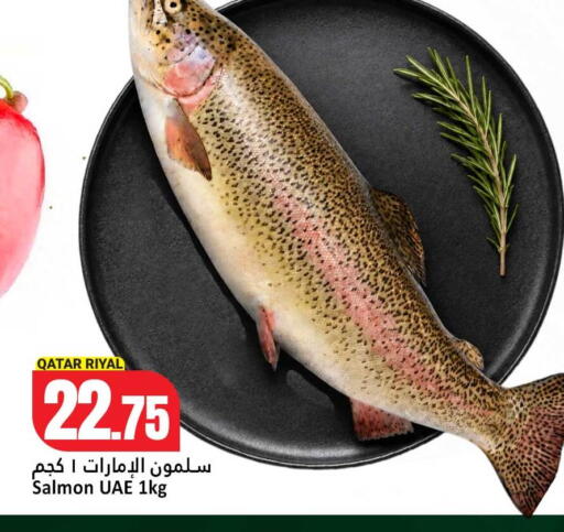available at Dana Hypermarket in Qatar - Umm Salal