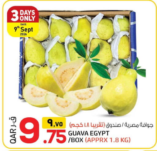 Guava from Egypt available at السعودية in قطر - الخور
