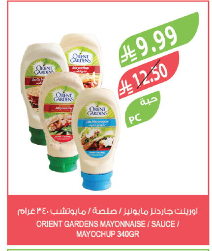 Garlic available at Farm  in KSA, Saudi Arabia, Saudi - Jeddah