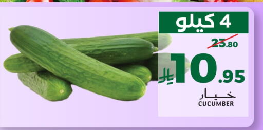 Cucumber available at ميرا مارت مول in مملكة العربية السعودية, السعودية, سعودية - جدة