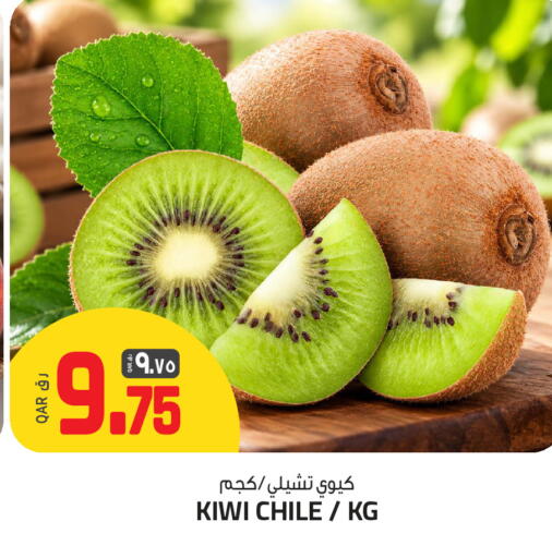 Kiwi from Chile available at السعودية in قطر - الخور