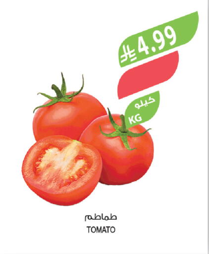 Tomato available at المزرعة in مملكة العربية السعودية, السعودية, سعودية - الخبر‎