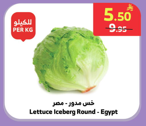 Lettuce from Egypt available at الراية in مملكة العربية السعودية, السعودية, سعودية - جدة