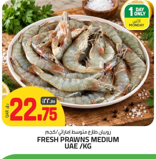 available at السعودية in قطر - الخور