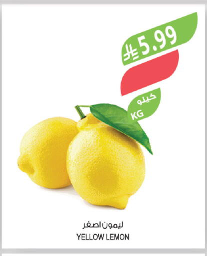 Lemon available at المزرعة in مملكة العربية السعودية, السعودية, سعودية - تبوك