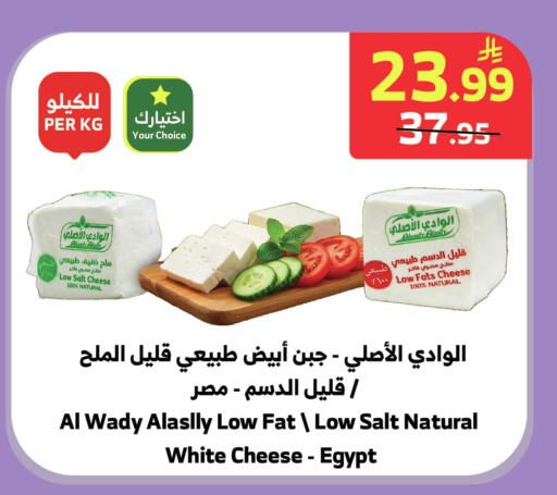 available at الراية in مملكة العربية السعودية, السعودية, سعودية - المدينة المنورة
