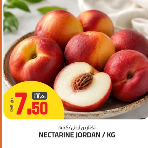 Nectarine from Jordan available at السعودية in قطر - الخور