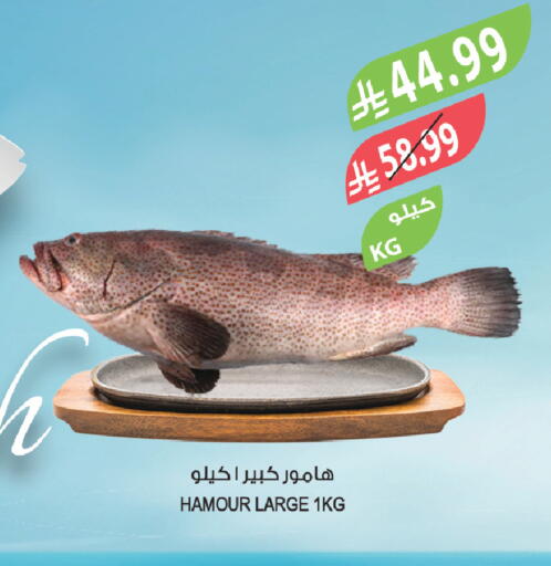 available at Farm  in KSA, Saudi Arabia, Saudi - Jeddah