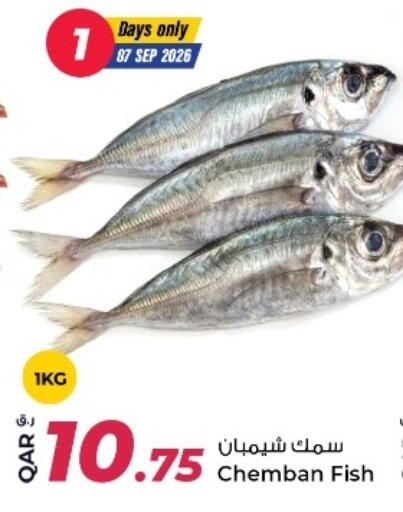 available at Rawabi Hypermarket in Qatar - Doha